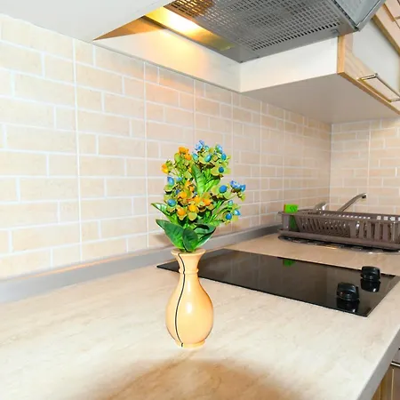 게스트하우스 239 4*