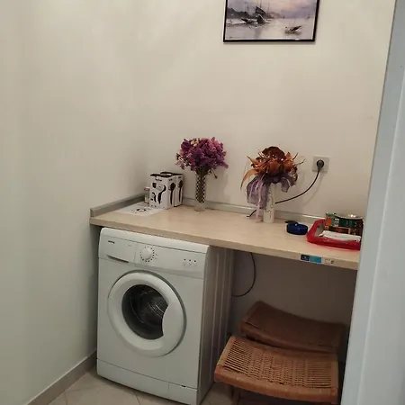 239 بيت ضيافة