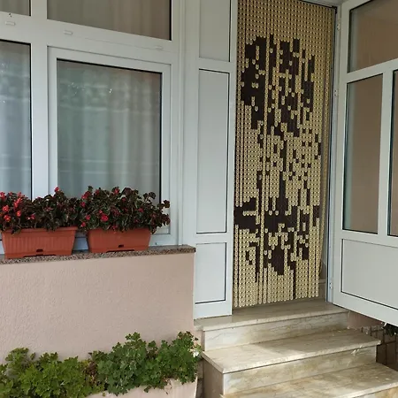 239 بيت ضيافة
