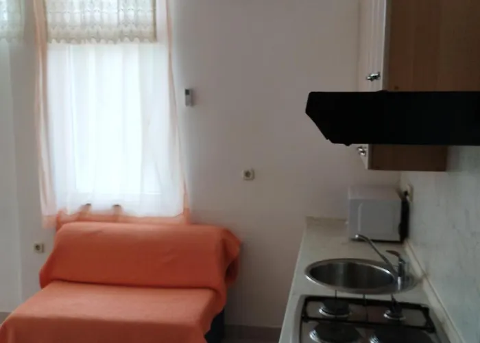 239 Guest house 4*